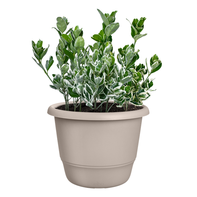 amiga rond 30cm paddenstoel beige